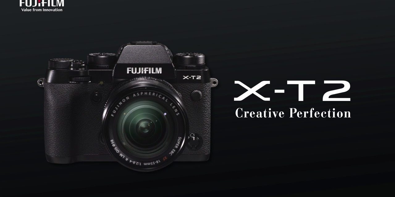 Meilleur hybride pour l’animalier : “Fujifilm X-T2 a le meilleur AF tout hybride confondu”… mais le gagnant est ?