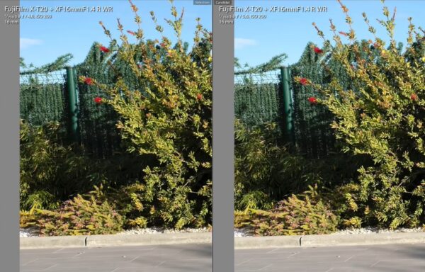 Fujinon XF 16 mm f1.4 R WR piqué à f/4 vs f/5.6 : la plante est beaucoup plus définie à droite à f/5.6