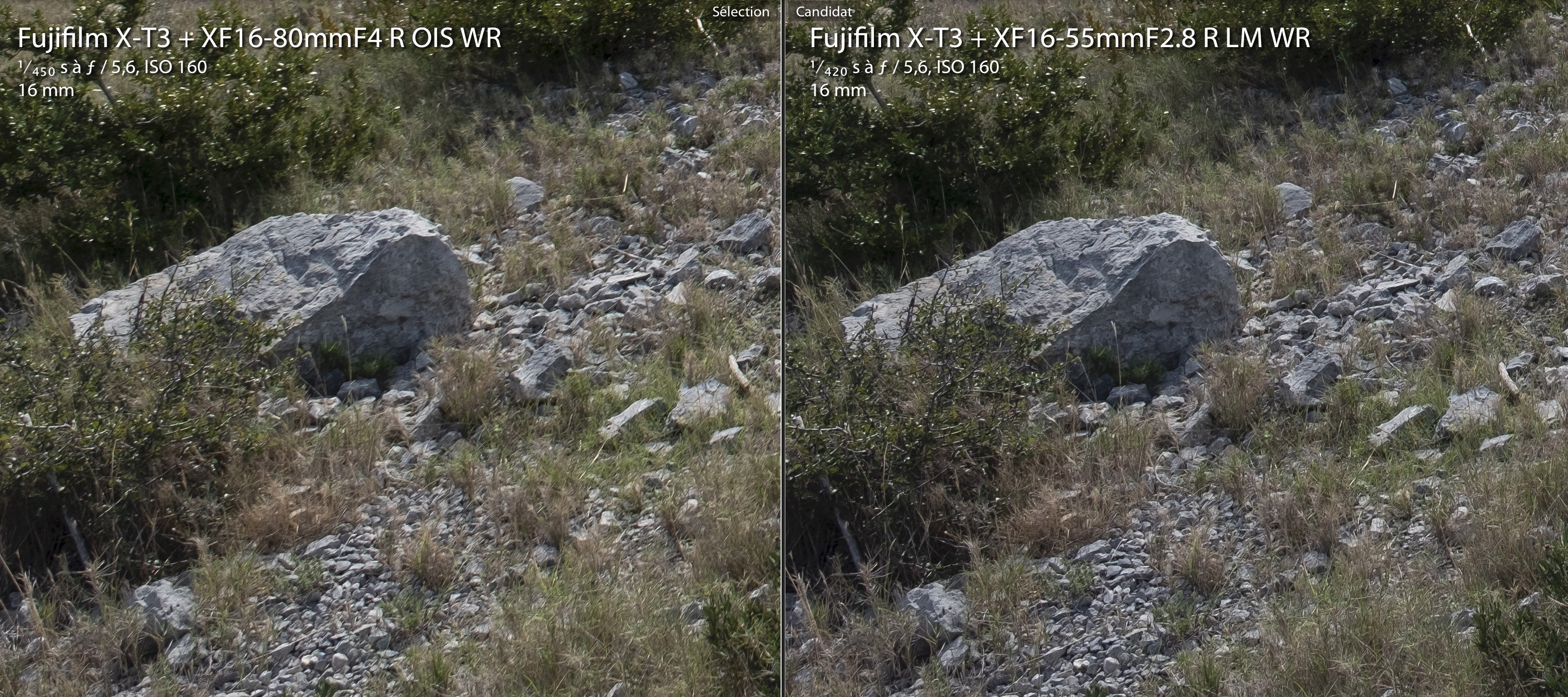 Fujifilm XF 16-80 f4 OIS R WR : Lens review - Les Guides Fuji