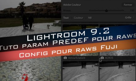 Lightroom 9.2 : Comment configurer les Param Prédef pour les RAWs