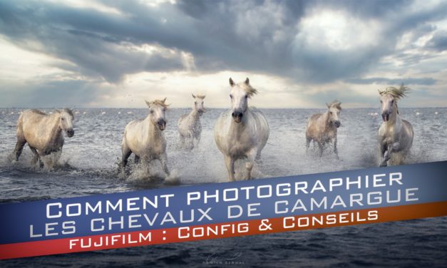 Photographier les chevaux de Camargue : mes conseils pour configurer votre Fujifilm