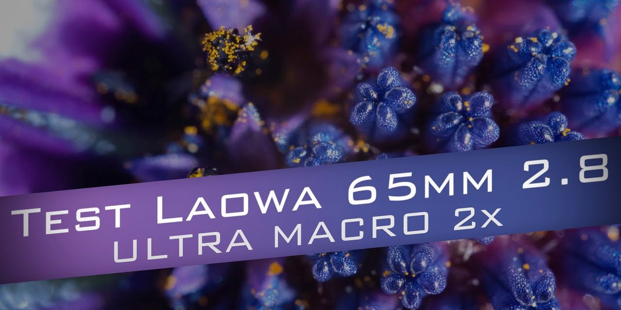 Test Laowa 65mm 2.8 ULTRA MACRO 2x : un sans-faute !