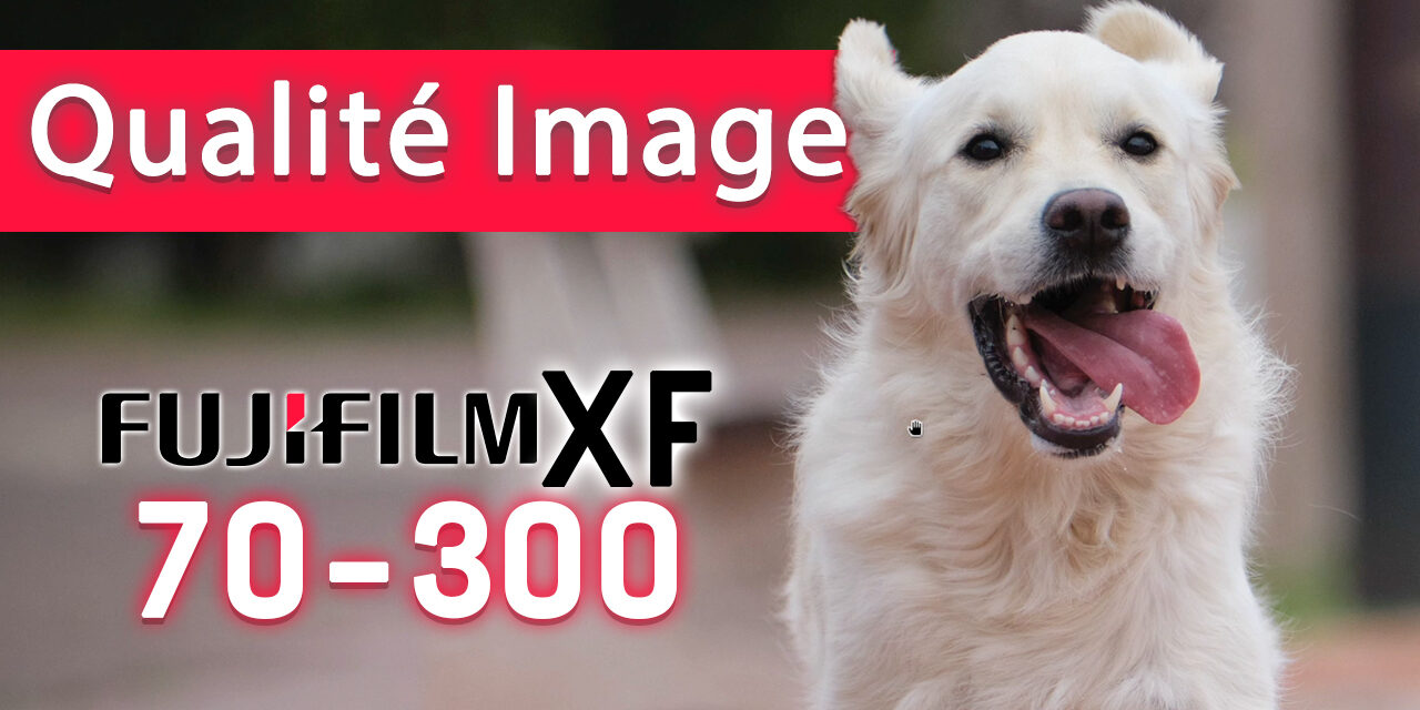 FUJIFILM XF 70-300 mm f/4-5,6 R LM OIS WR  : Qualité d’image – RAW téléchargeable